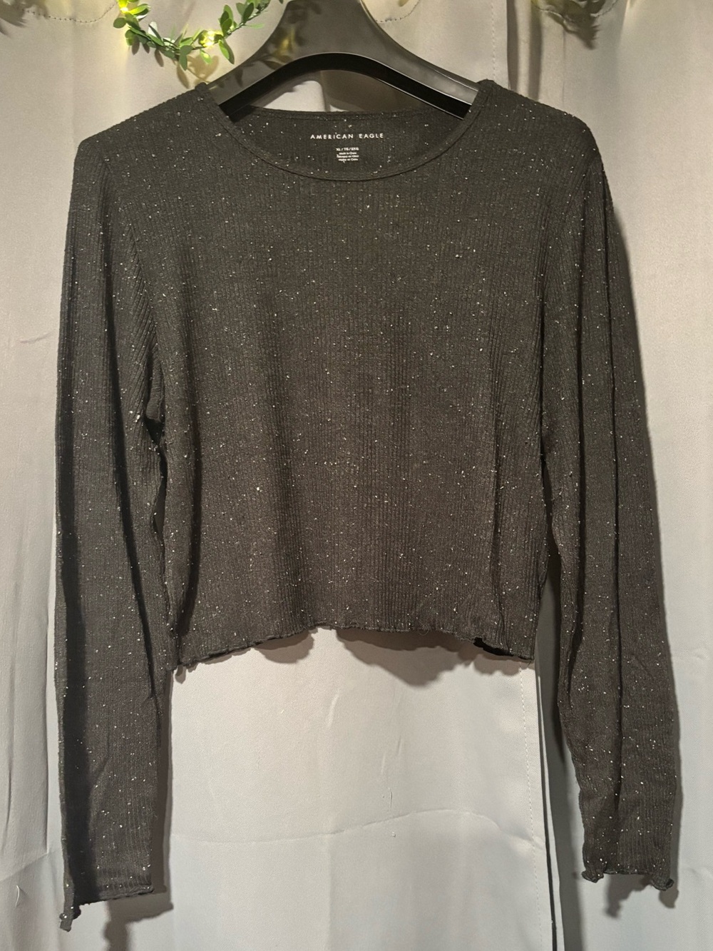 American Eagle Cropped Long Sleeve